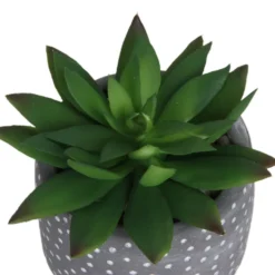 Small Succulent - Grey -Homebase 12909500 1734869235660464