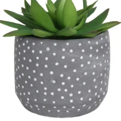 Small Succulent - Grey -Homebase 12909500 2024869235581411