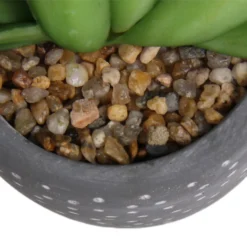 Small Succulent - Grey -Homebase 12909500 5574869235621944